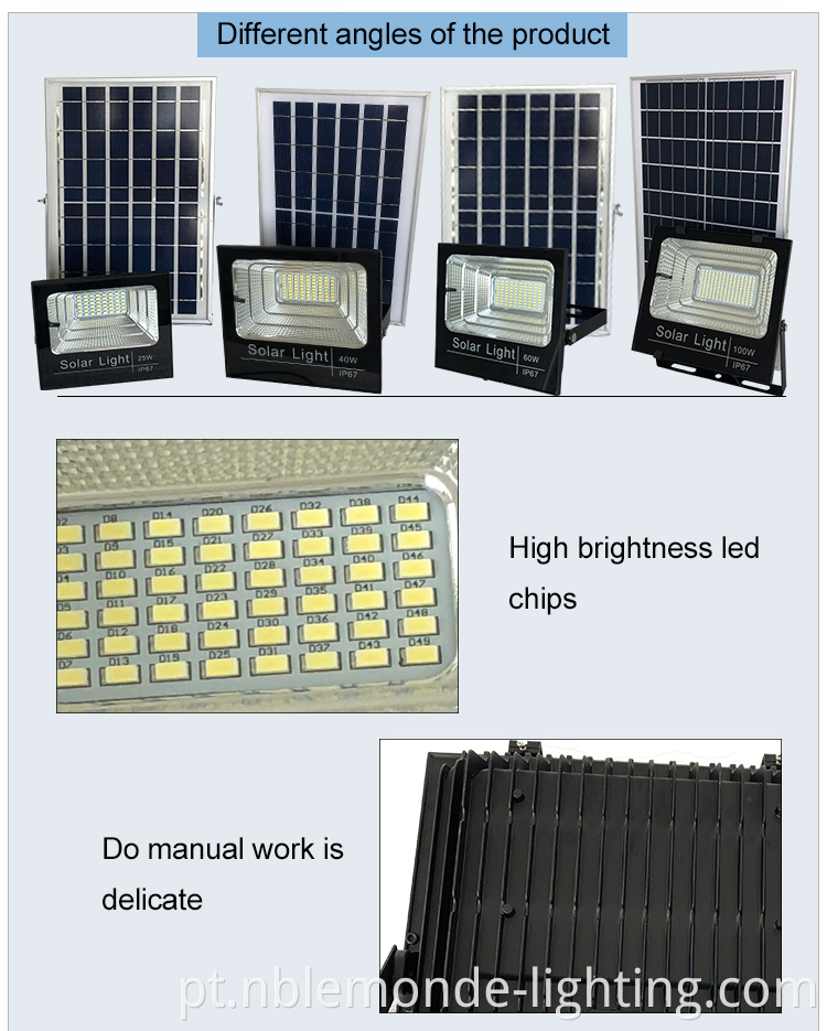 Solar Garden Security Flood Lamp